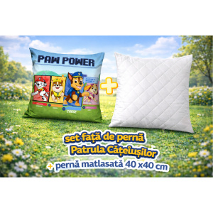 Față de pernă Patrula Catelusilor -40×40 cm -Licentiata