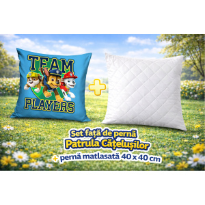 Față de pernă Patrula Catelusilor 3 -40x40 cm -Licentiata