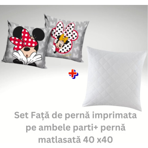 Set Față de pernă Minnie gri+ pernă matlasată 40 x40 (1024 x 1024 px)
