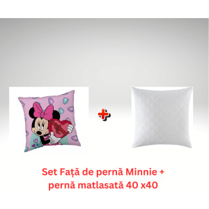 Set Față de pernă Minnie + pernă matlasată 40 x40 (1024 x 1024 px)