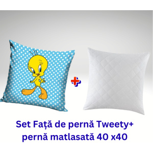 Set Față de pernă Tweety+ pernă matlasată 40 x40 (1024 x 1024 px)
